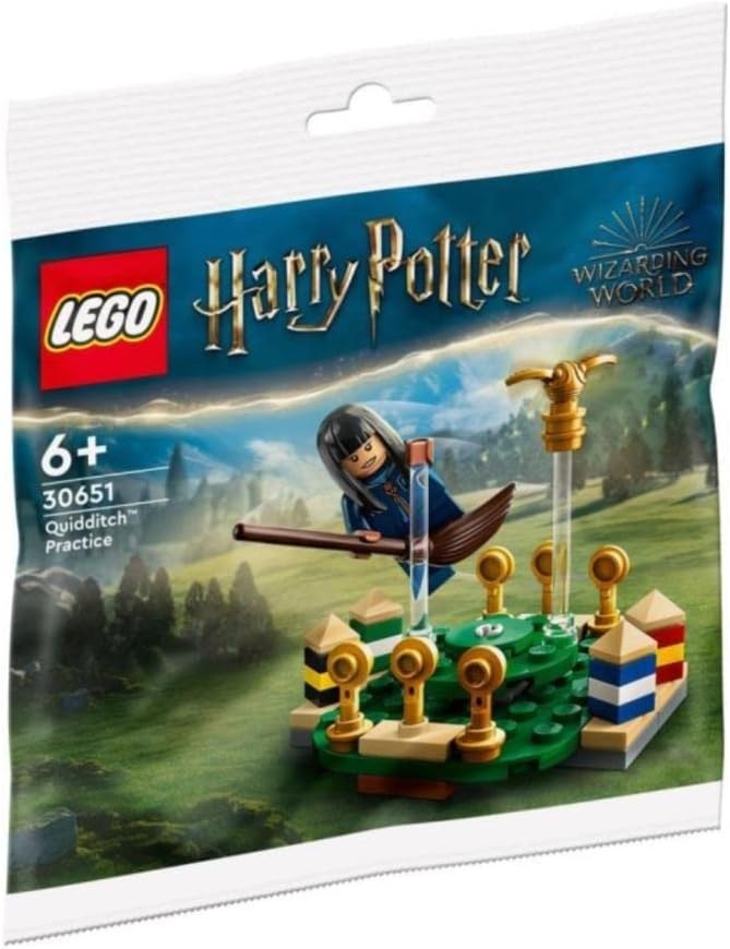 LEGO Harry Potter 30651 Quidditch Practice Polybag