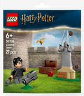 LEGO Harry Potter 30706 Quidditch Lesson Polybag – 27 Pieces