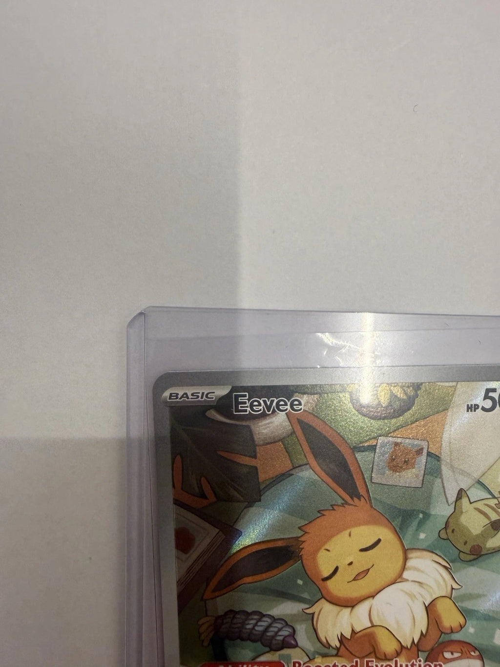 Pokémon Eevee SVP173 Black Star Promo Holo Swirl Near Mint Pokémon Card