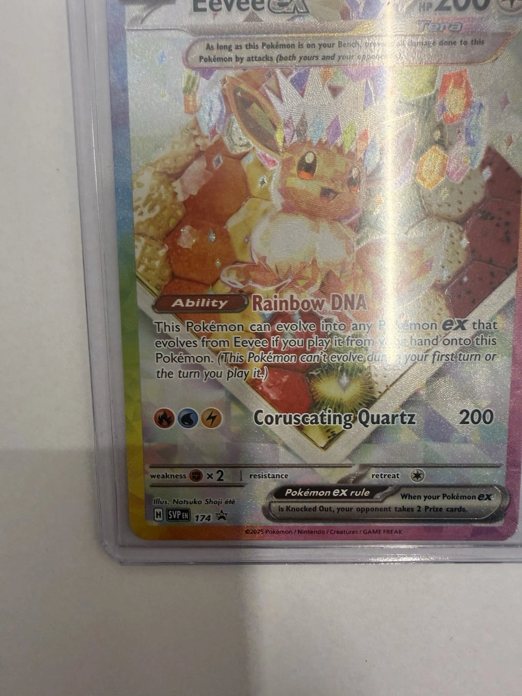 Pokémon Eevee ex SVP174 Black Star Promo Holo Scarlet & Violet Near Mint Card