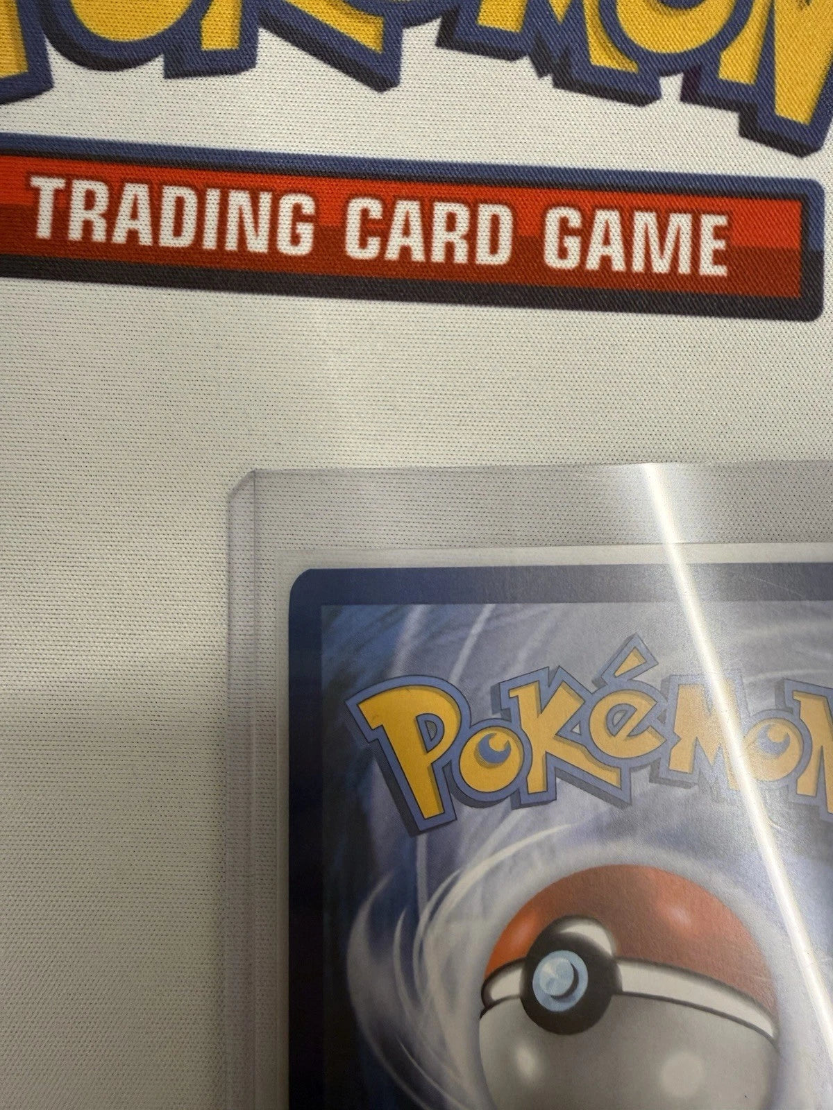 Charizard ex SVP074 Tera 330 HP Black Star Promo Holo Pokémon Card Near Mint